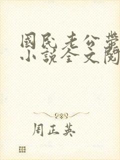 国民老公带回家小说全文阅读封面