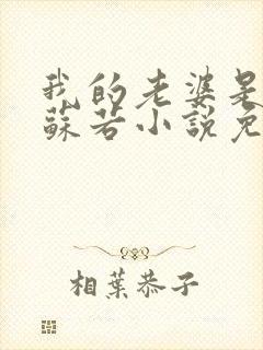 我的老婆是人妖苏若小说免费阅读