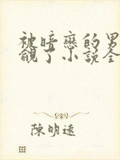 被暗恋的男神觊觎了小说全文阅读