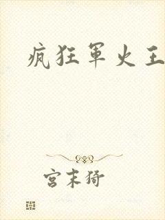 疯狂军火王封面