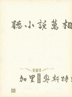 听小说万相之王