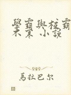 学霸与校霸by不寒 小说