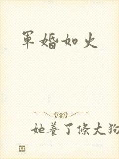 军婚如火封面