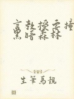 言教授要撞坏了黑暗森林
