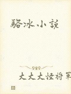 骆冰小说封面