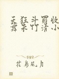 天狂斗罗收服小舞朱竹清小说