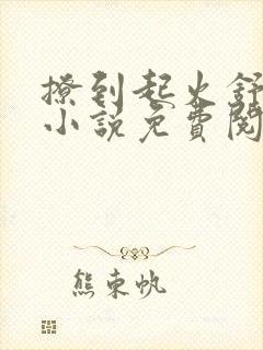 撩到起火舒漾的小说免费阅读全文
