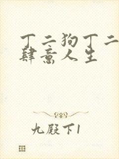丁二狗丁二狗的肆意人生封面