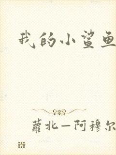 我的小鲨鱼