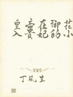 皇帝在御花园进入贵妃的小说