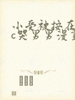 小受被按在墙上c哭男男漫画封面