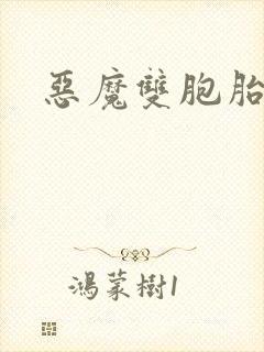 恶魔双胞胎