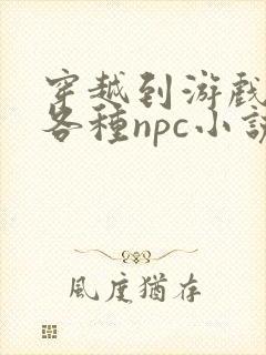 穿越到游戏里和各种npc小说