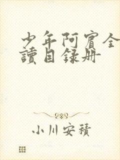 少年阿宾全文阅读目录册