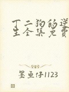 丁二狗的逆袭人生全集免费