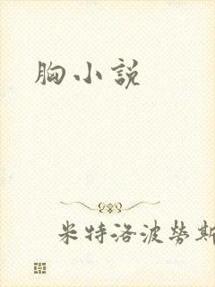 胸小说