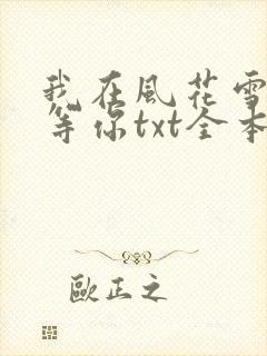 我在风花雪月里等你txt全本封面