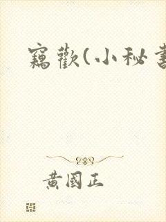 窃欢(小秘书)