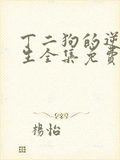 丁二狗的逆袭人生全集免费封面