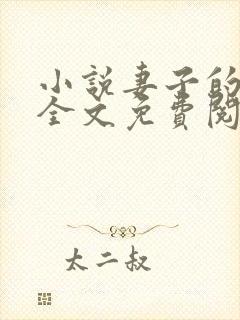 小说妻子的秘密全文免费阅读全文