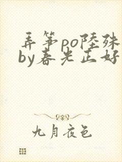 弄筝po陆殊词by春光正好封面