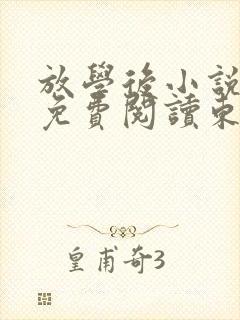 放学后小说全文免费阅读东野圭吾