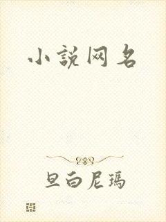 小说网名