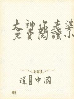 大神你老婆掉了免费阅读小说全文封面