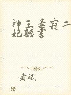 神王毒宠二嫁王妃听书