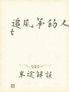 追风筝的人txt封面