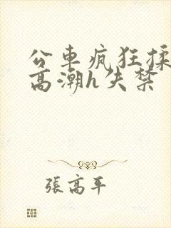 公车疯狂揉肉蒂高潮h失禁