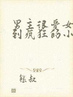 男主很爱女主爱到疯狂的小说古言封面