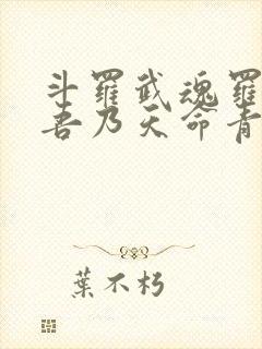 斗罗武魂罗三炮吾乃天命青龙笔趣阁