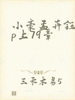 小豪孟卉钰慧三p上79章封面