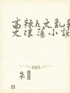 高辣h文乱乳h文浪荡小说苏菲亚