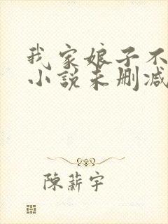 我家娘子不对劲小说未删减在线看封面