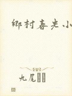 乡村春光小说