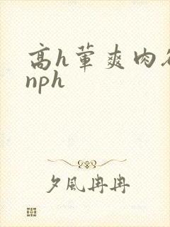 高h荤爽肉欲文nph