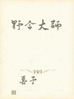 野合大师封面