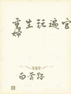重生玩遍官场贵妇
