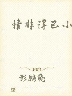 情非得已小说