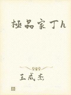 极品家丁h