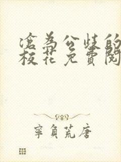 书籍封面