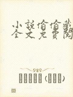 小说偷偷藏不住全文免费阅读全文