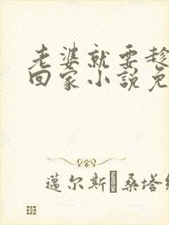 老婆就要趁早娶回家小说免费阅读