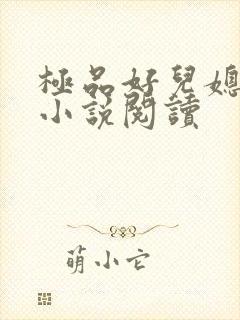 极品好儿媳沐慧小说阅读