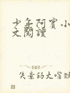 少年阿宾小说全文阅读