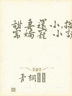 甜妻还小,总裁需娇宠 小说