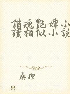 销魂艳婢小说阅读相似小说封面