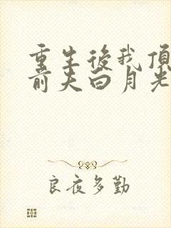 重生后我顶替了前夫白月光大概剧情